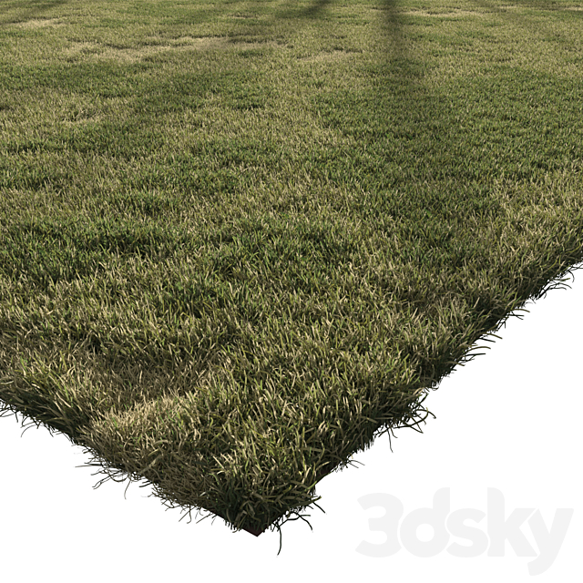 Forest Grass 3 3DS Max Model - thumbnail 4