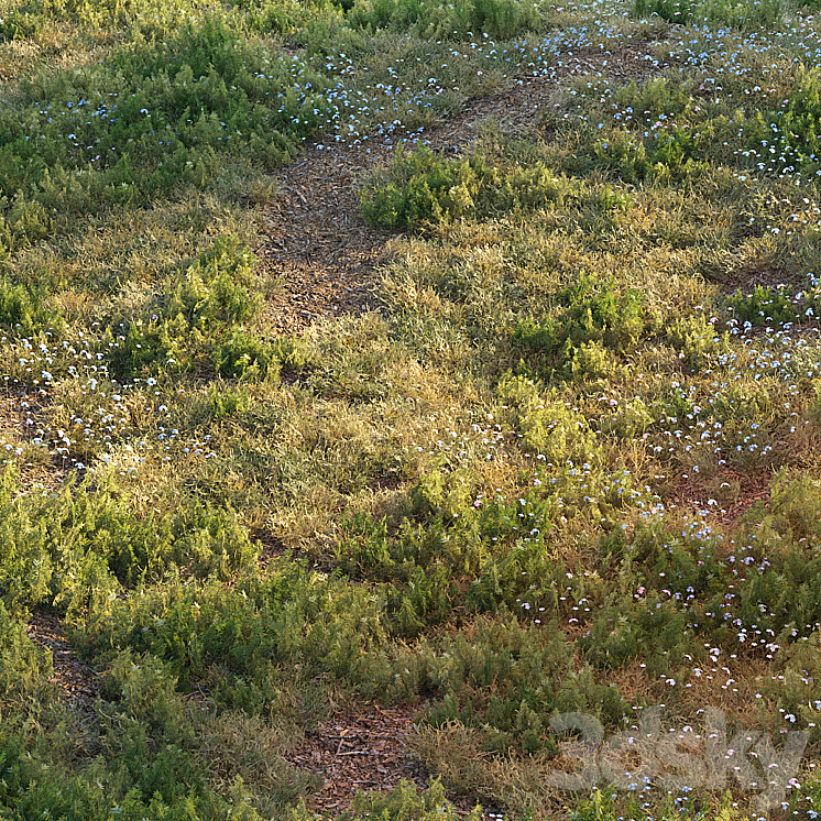 Forest grass 3DS Max - thumbnail 1