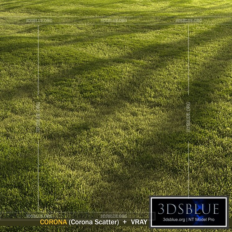 Forest grass 3DS Max - thumbnail 3