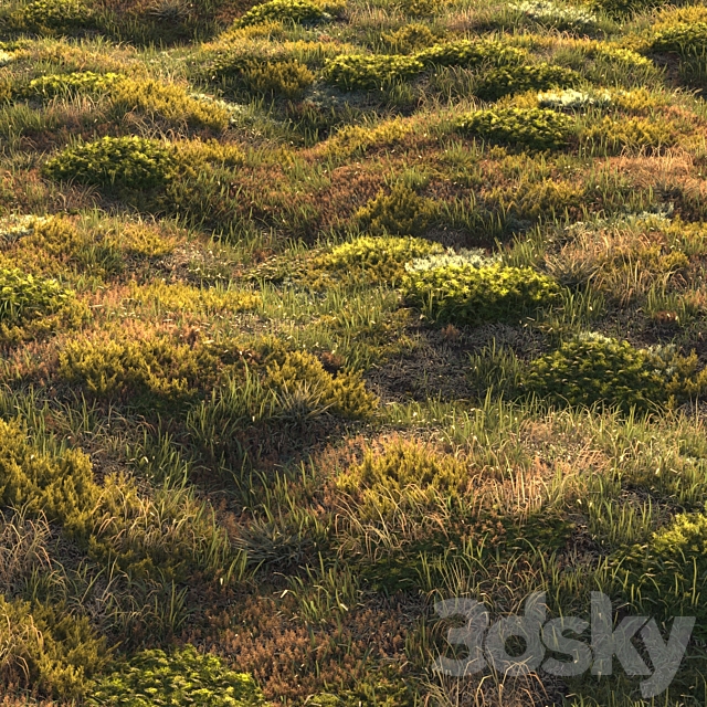 Forest grass 3DS Max Model - thumbnail 2