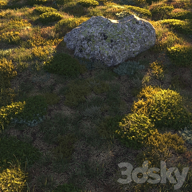 Forest grass 3DS Max Model - thumbnail 3