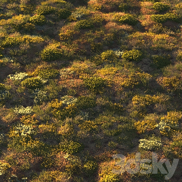 Forest grass 3DS Max Model - thumbnail 4