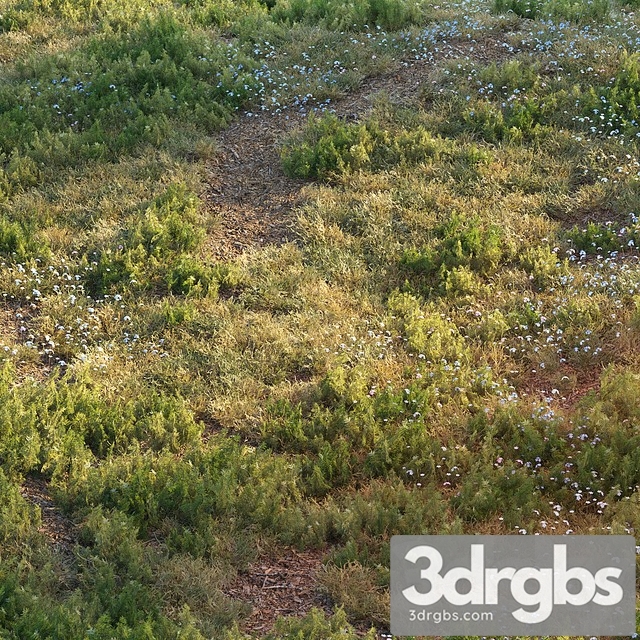 Forest Grass 3dsmax Download - thumbnail 1