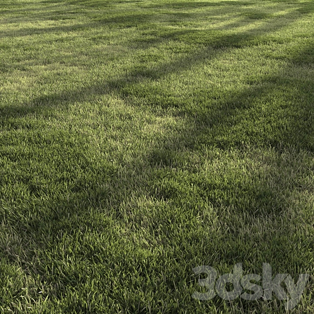 Forest Grass 4 3ds Max - thumbnail 2