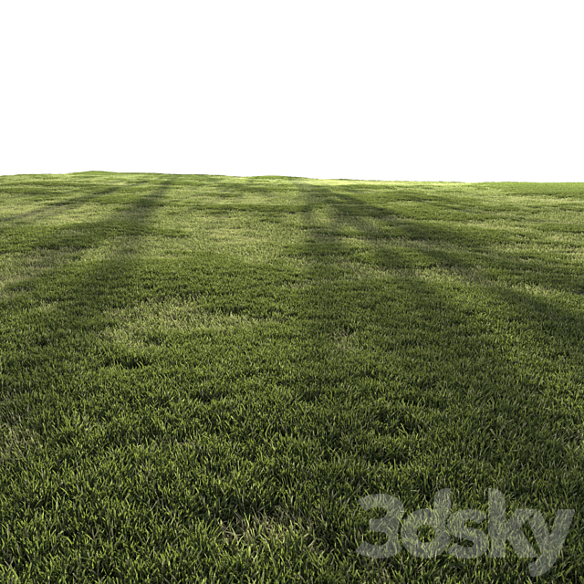 Forest Grass 4 3ds Max - thumbnail 3