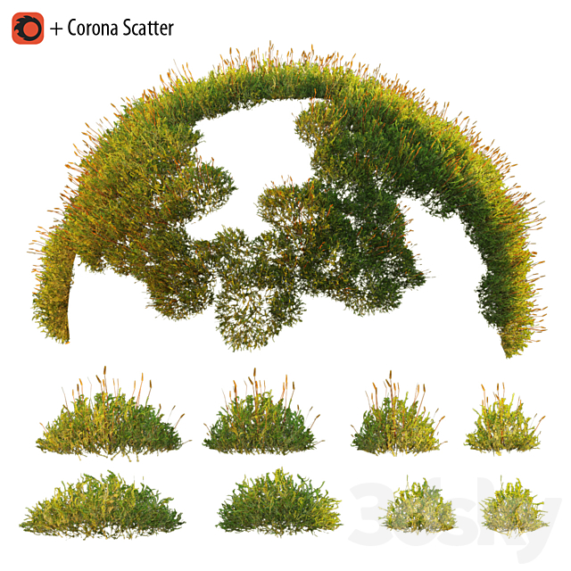 Forest Moss 2 3ds Max - thumbnail 1