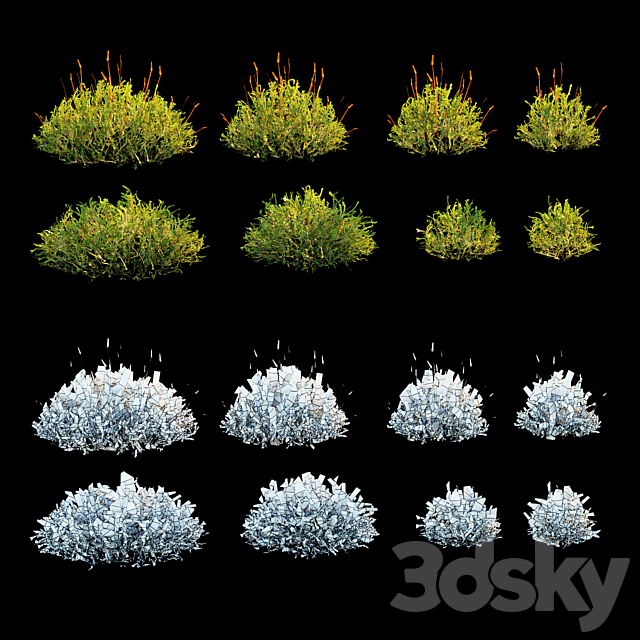 Forest Moss 2 3ds Max - thumbnail 2