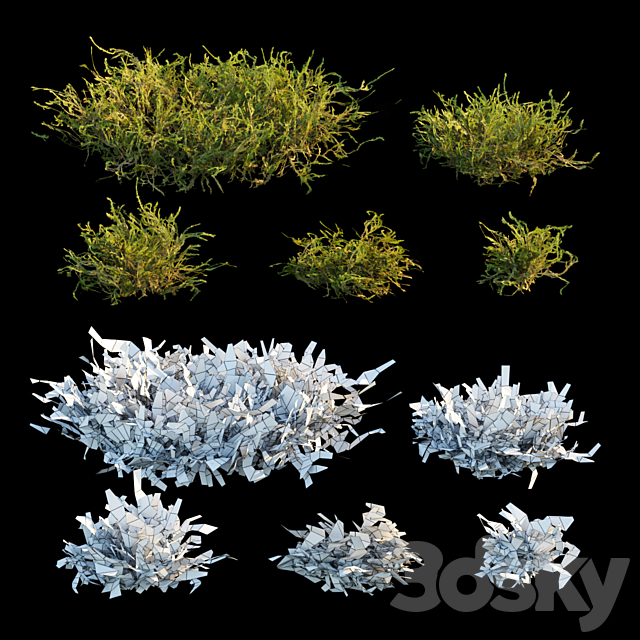 Forest moss 3DS Max Model - thumbnail 2