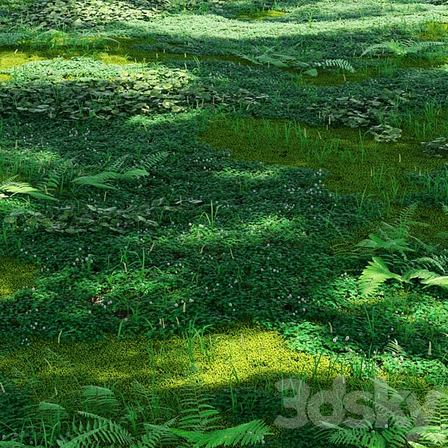 Forest plants 3ds Max - thumbnail 1