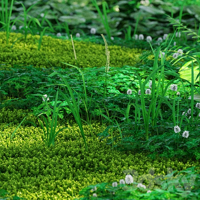 Forest plants 3ds Max - thumbnail 2