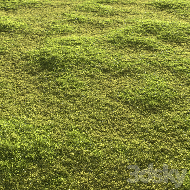 Garden grass 3DS Max Model - thumbnail 1