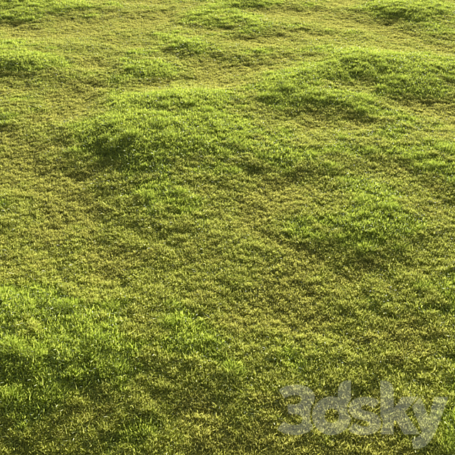 Garden grass 3ds Max - thumbnail 1