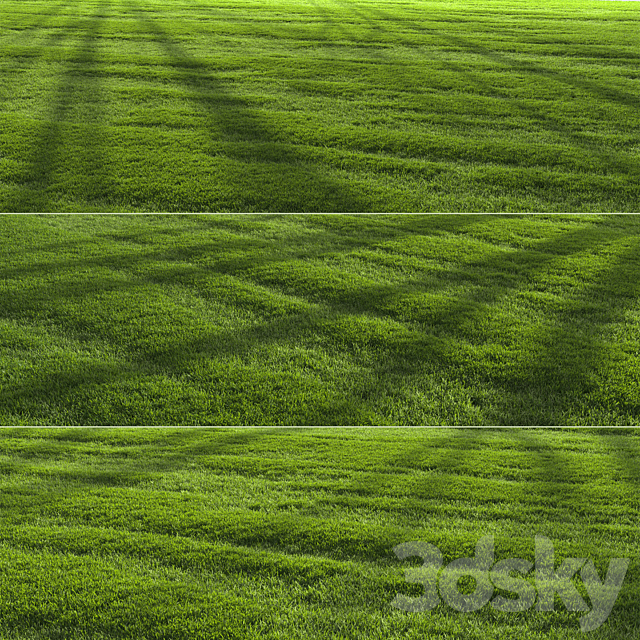 Garden Lawn 3DS Max Model - thumbnail 2