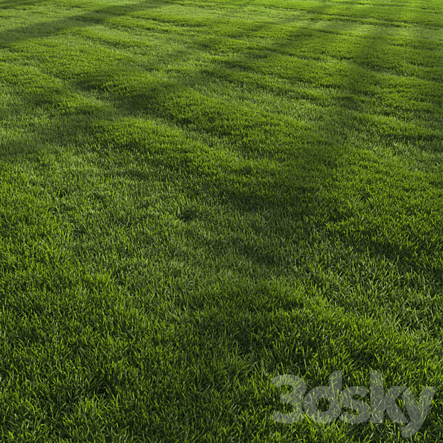 Garden Lawn 3DS Max Model - thumbnail 3