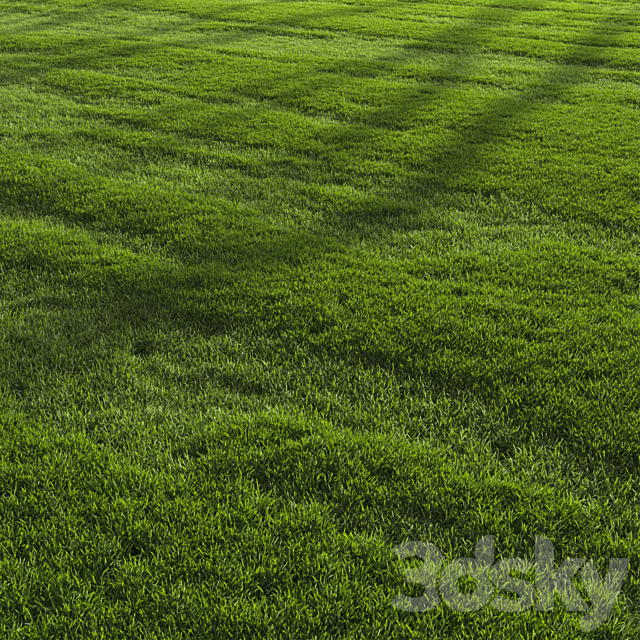 Garden Lawn 3DS Max Model - thumbnail 5