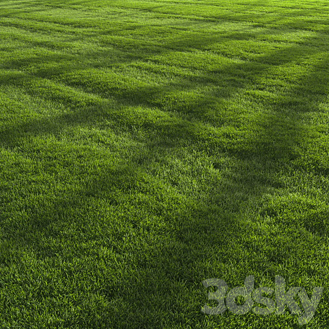 Garden Lawn 3DS Max Model - thumbnail 6