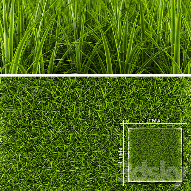 GRASS 1 3DSMax File - thumbnail 1