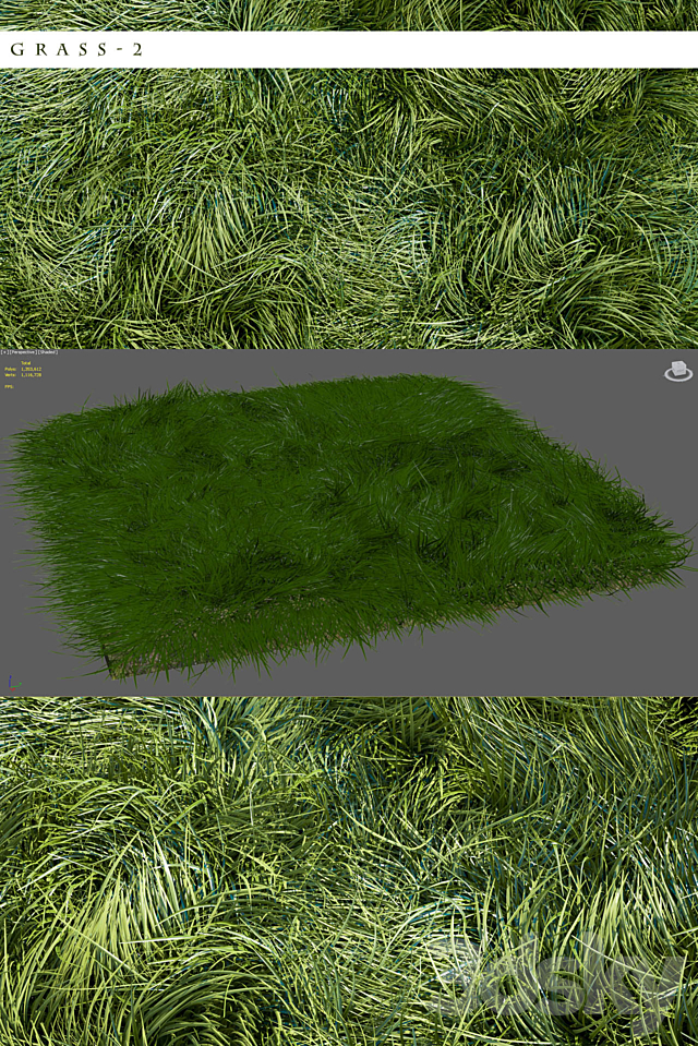 GRASS 2 3DS Max Model - thumbnail 2