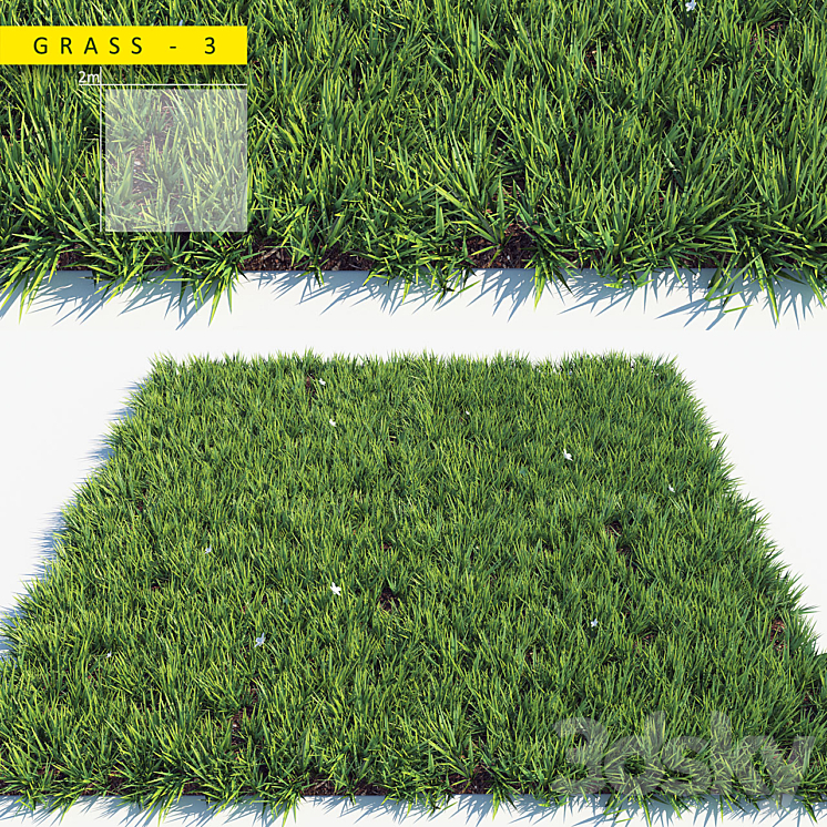 Grass 3 3DS Max - thumbnail 1
