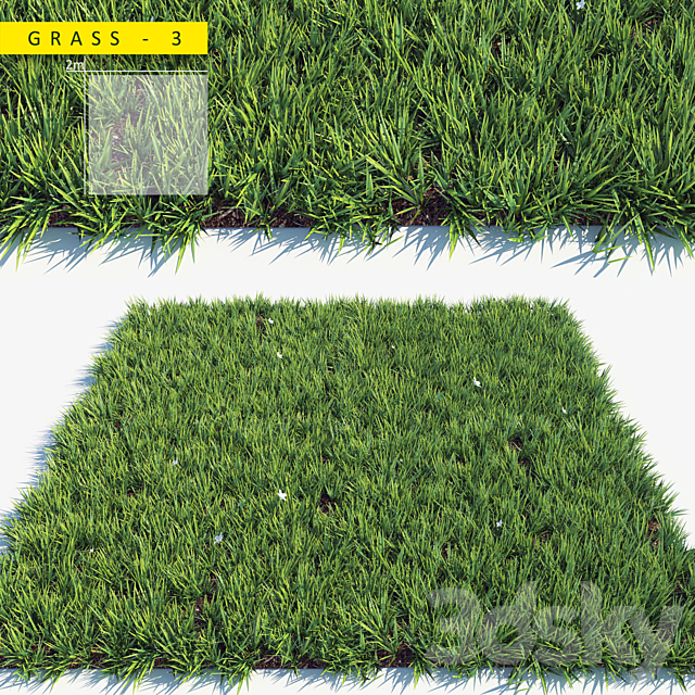 Grass 3 3DSMax File - thumbnail 1