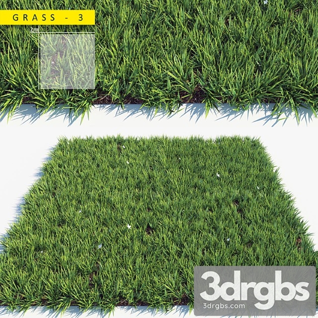 Grass 3 - thumbnail 1