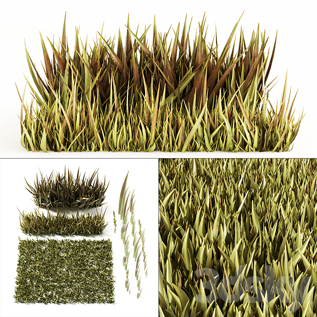 Grass 3ds Max - thumbnail 1