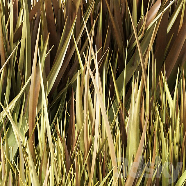 Grass 3ds Max - thumbnail 2