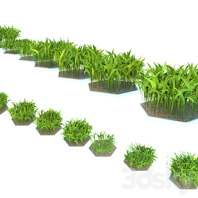 Grass 3ds Max - thumbnail 2