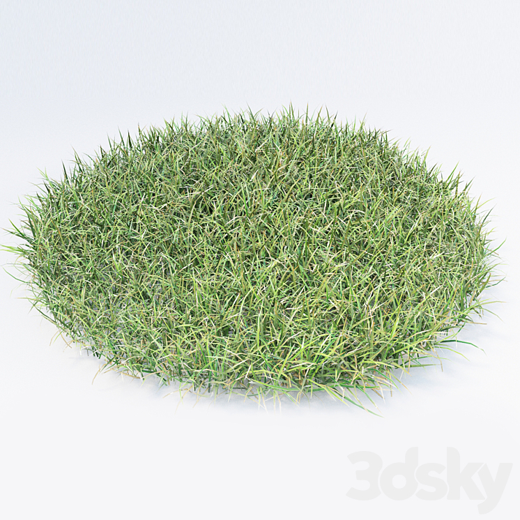 grass 3DS Max - thumbnail 2