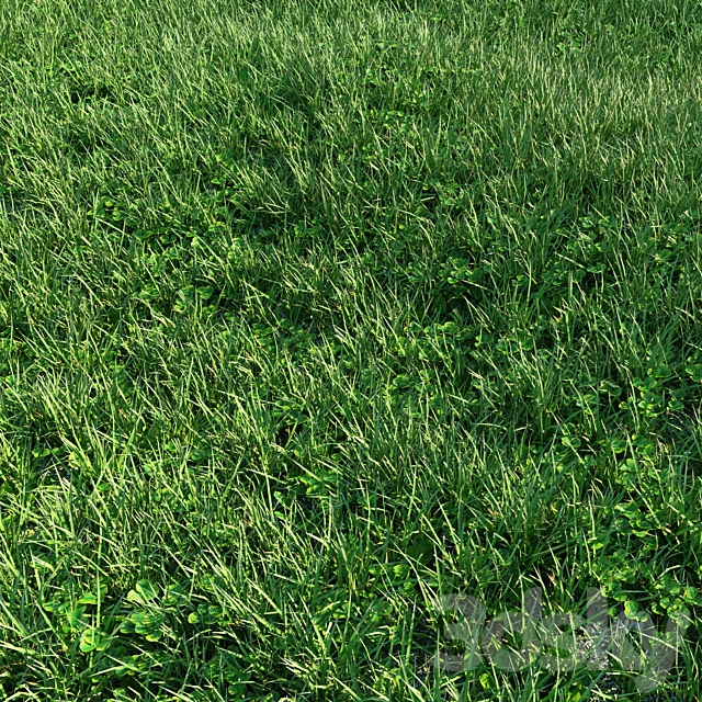 Grass 3DS Max Model - thumbnail 2