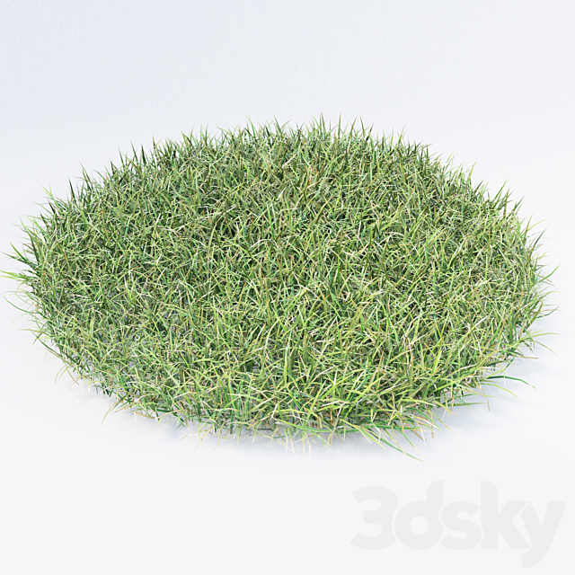 grass 3DSMax File - thumbnail 2