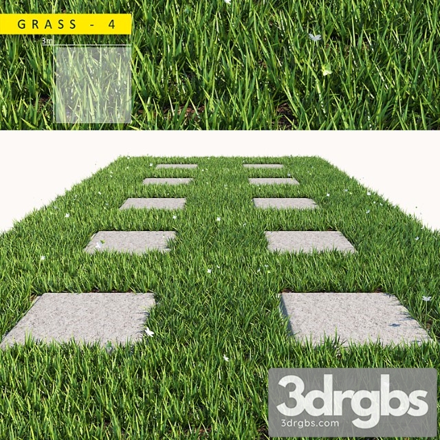 Grass 4 1 3dsmax Download - thumbnail 1