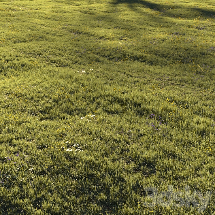 Grass and Flower 3DS Max - thumbnail 1