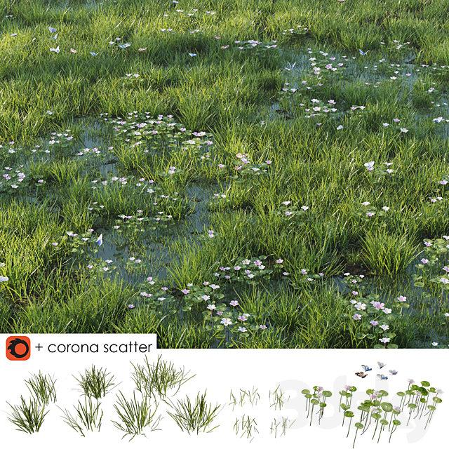 Grass and puddle 3ds Max - thumbnail 1