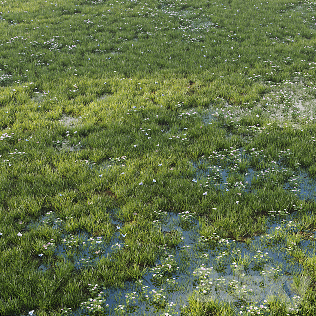 Grass and puddle 3ds Max - thumbnail 2