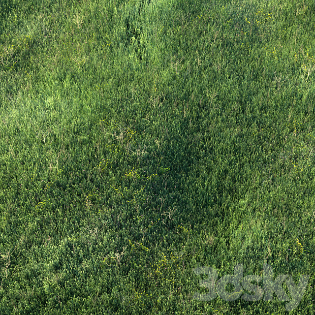 Grass field 01 3DS Max Model - thumbnail 2