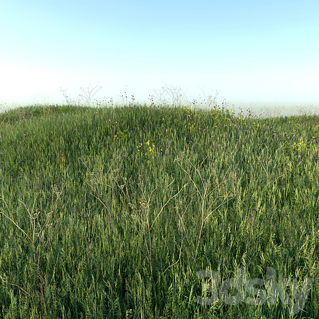 Grass field 01 3DS Max Model - thumbnail 3