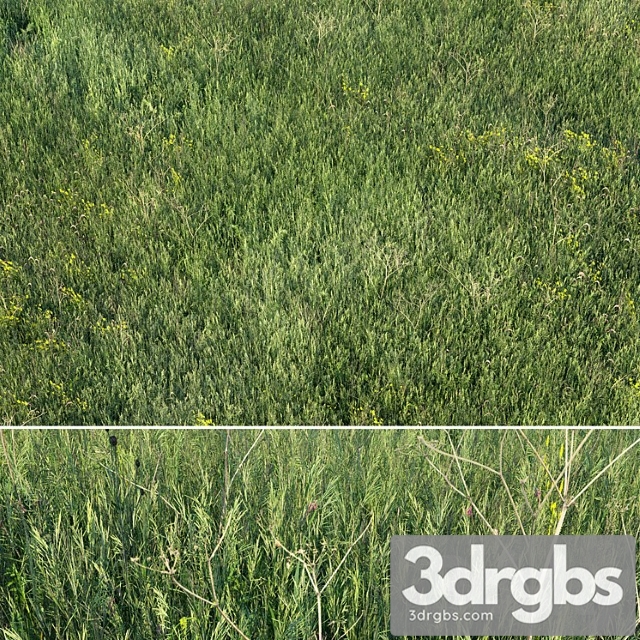 Grass Field 01 3dsmax Download - thumbnail 1