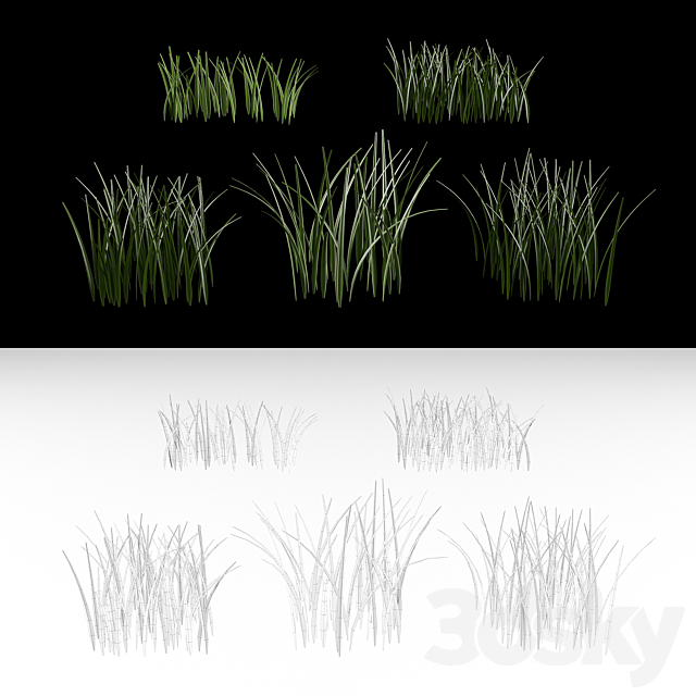 Grass for Exteriors 3DS Max Model - thumbnail 2