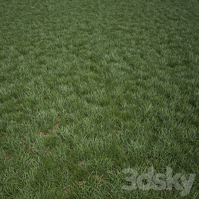 Grass for Exteriors 3DS Max Model - thumbnail 3