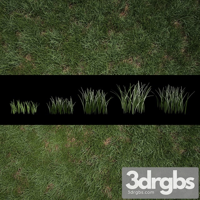 Grass for exteriors - thumbnail 1