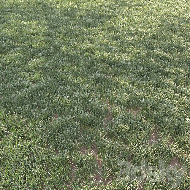 grass for landscape 11 3DS Max Model - thumbnail 2