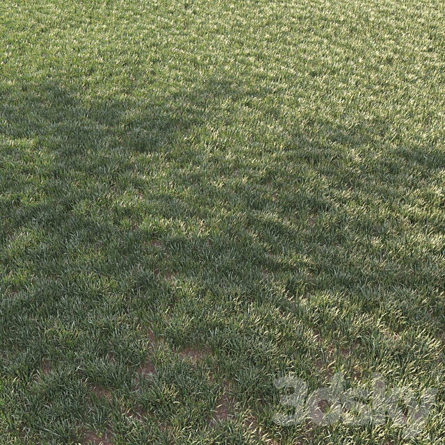 grass for landscape 11 3DS Max Model - thumbnail 3