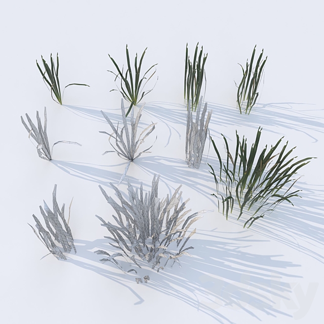 grass for landscape 11 3DS Max Model - thumbnail 5