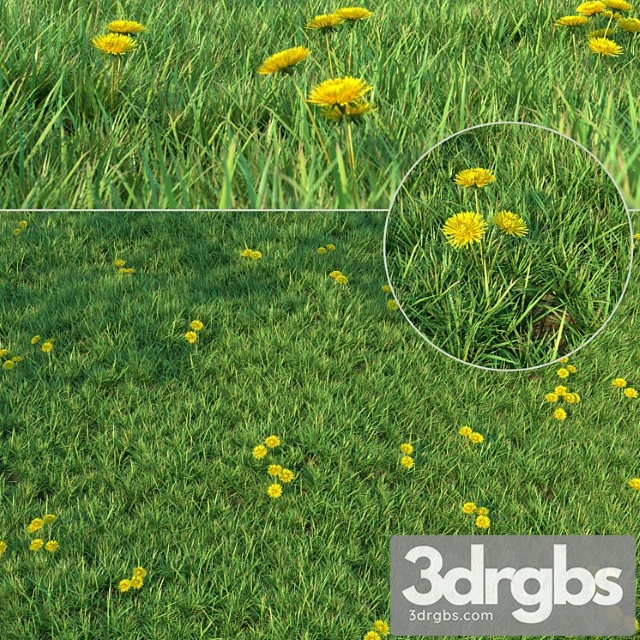 Grass For Landscaping 3dsmax Download - thumbnail 1