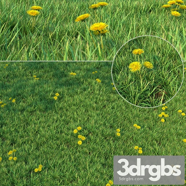 Grass for landscaping - thumbnail 1