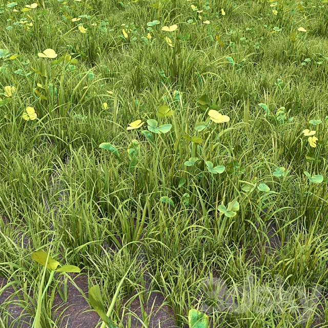 grass for lanscape 06 3ds Max - thumbnail 2