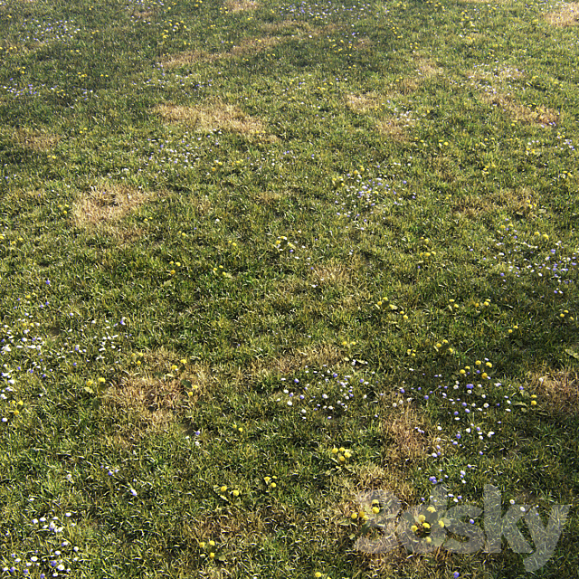 Grass for mountainous terrain 3ds Max - thumbnail 2