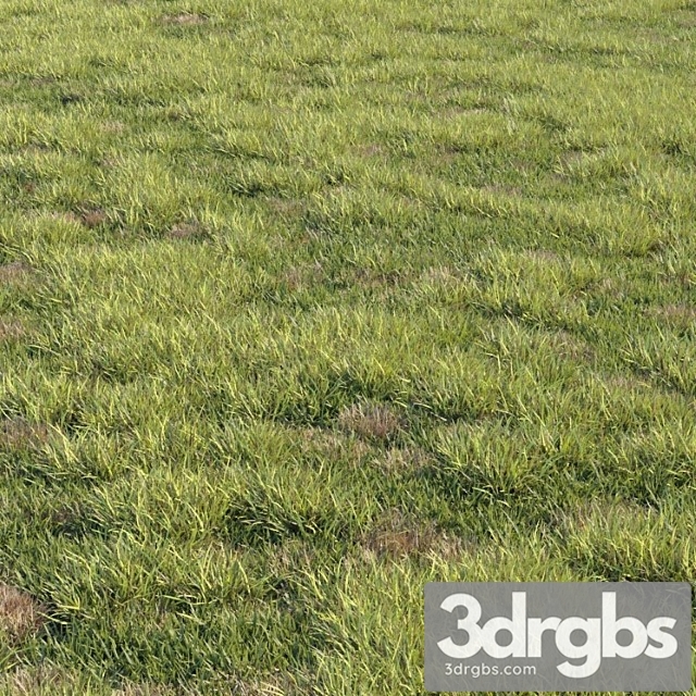 Grass kit 2 - thumbnail 1