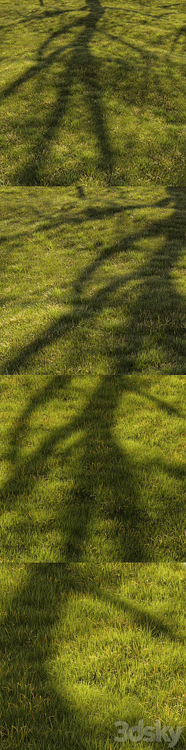 Grass Landscape 3DS Max Model - thumbnail 4